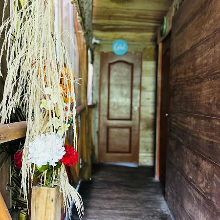 Palmario Hostal Guachaca Zewnętrze zdjęcie